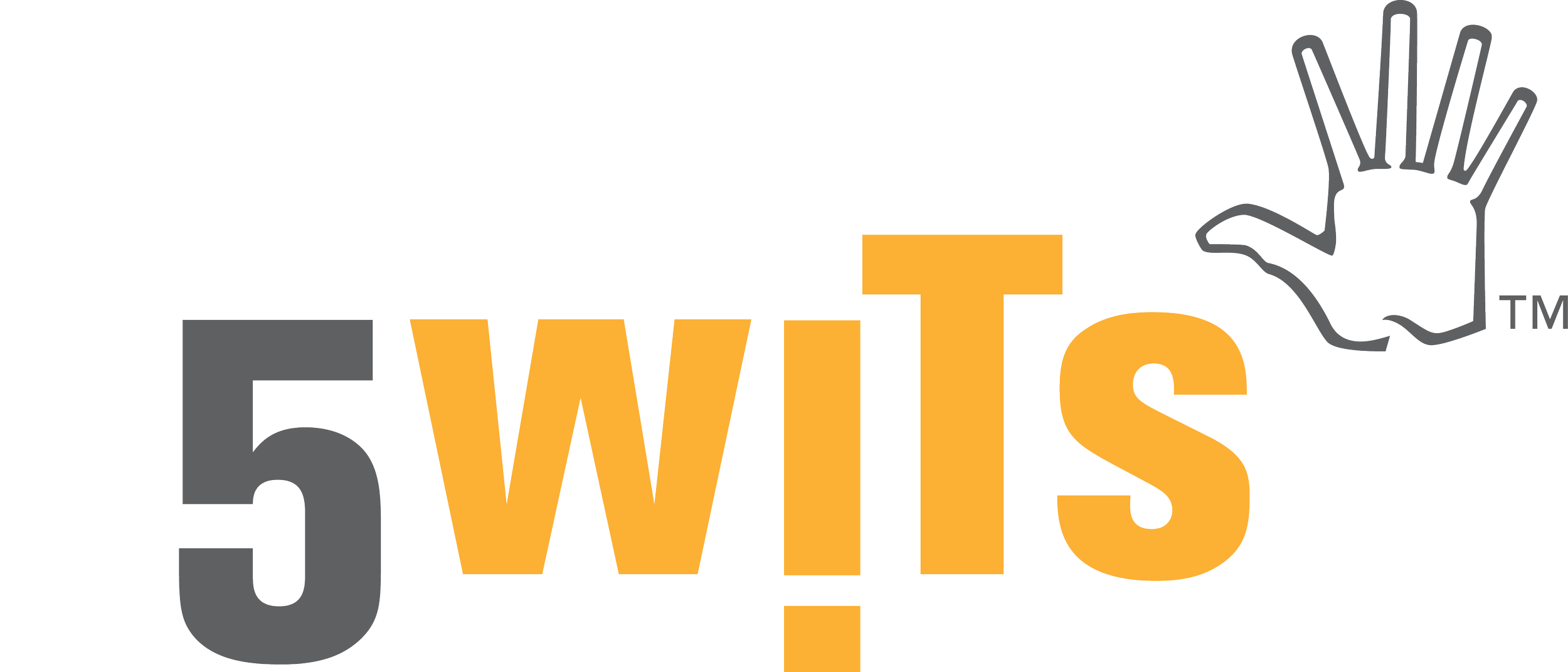 5 Wits Logo