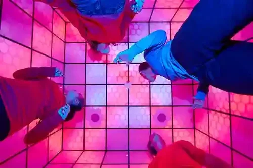 5 Wits floor