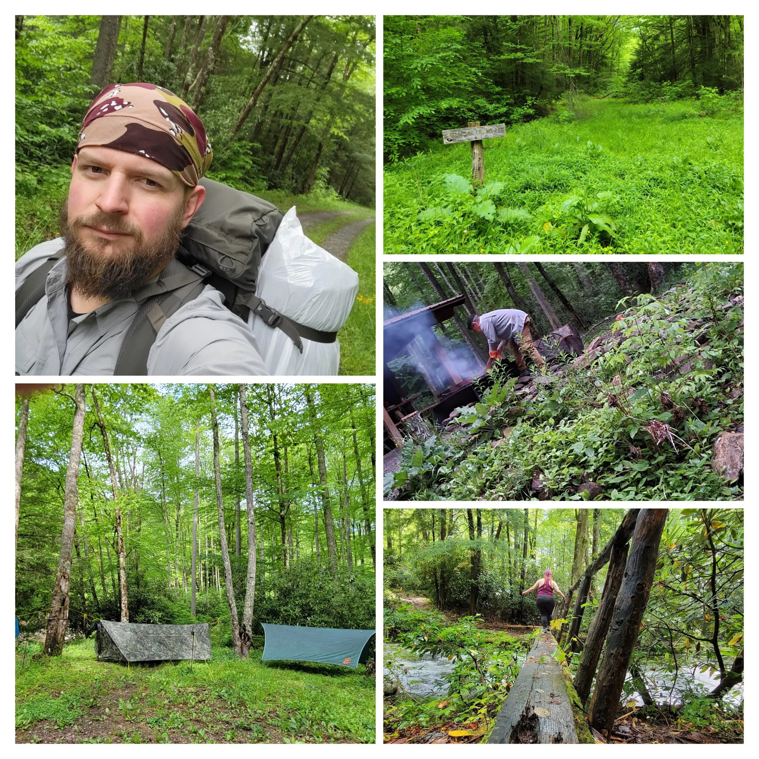 A collage of four nature scenes: a person with a beard and bandana taking a selfie in a lush green forest, a pathway through dense forest, a campfire among trees, and a person walking along a trail in a wooded area.