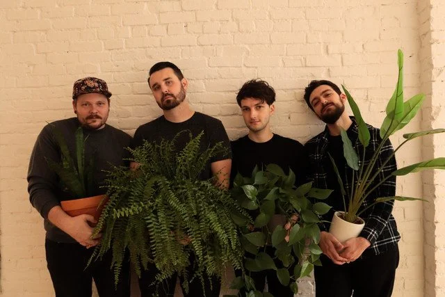 Four young men standing against a white brick wall, each holding a large potted plant, with a variety of greenery including ferns and broad-leafed plants. Still Golden