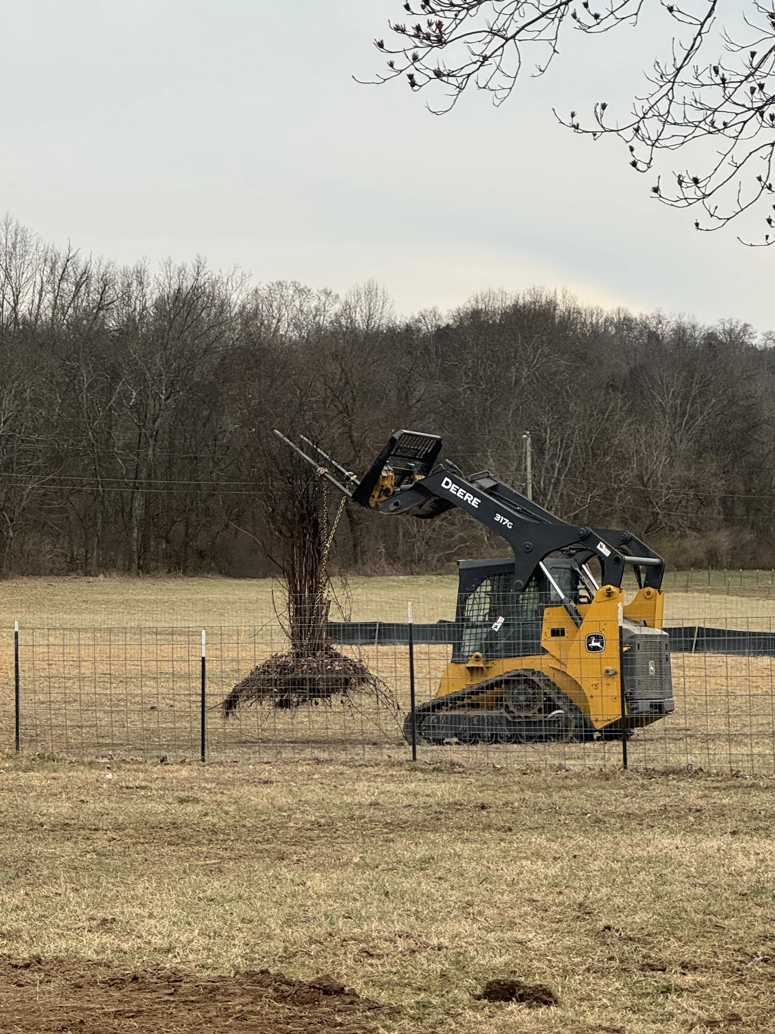 A yellow John Deere excavator working on a large tree in a fenced grassy field with trees and a cloudy sky in the background.