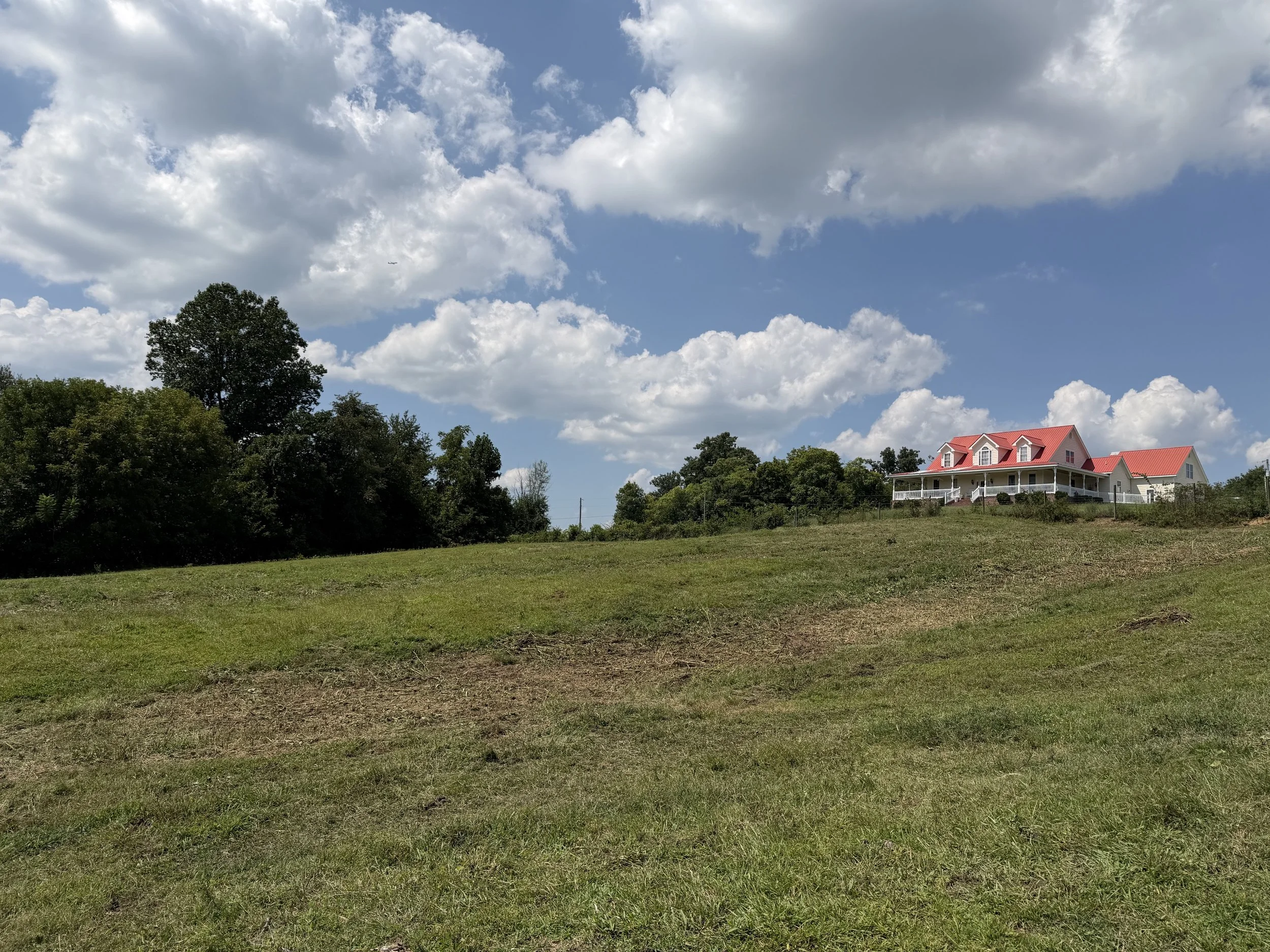 Field after brush cutting by Iron Acre Land Company