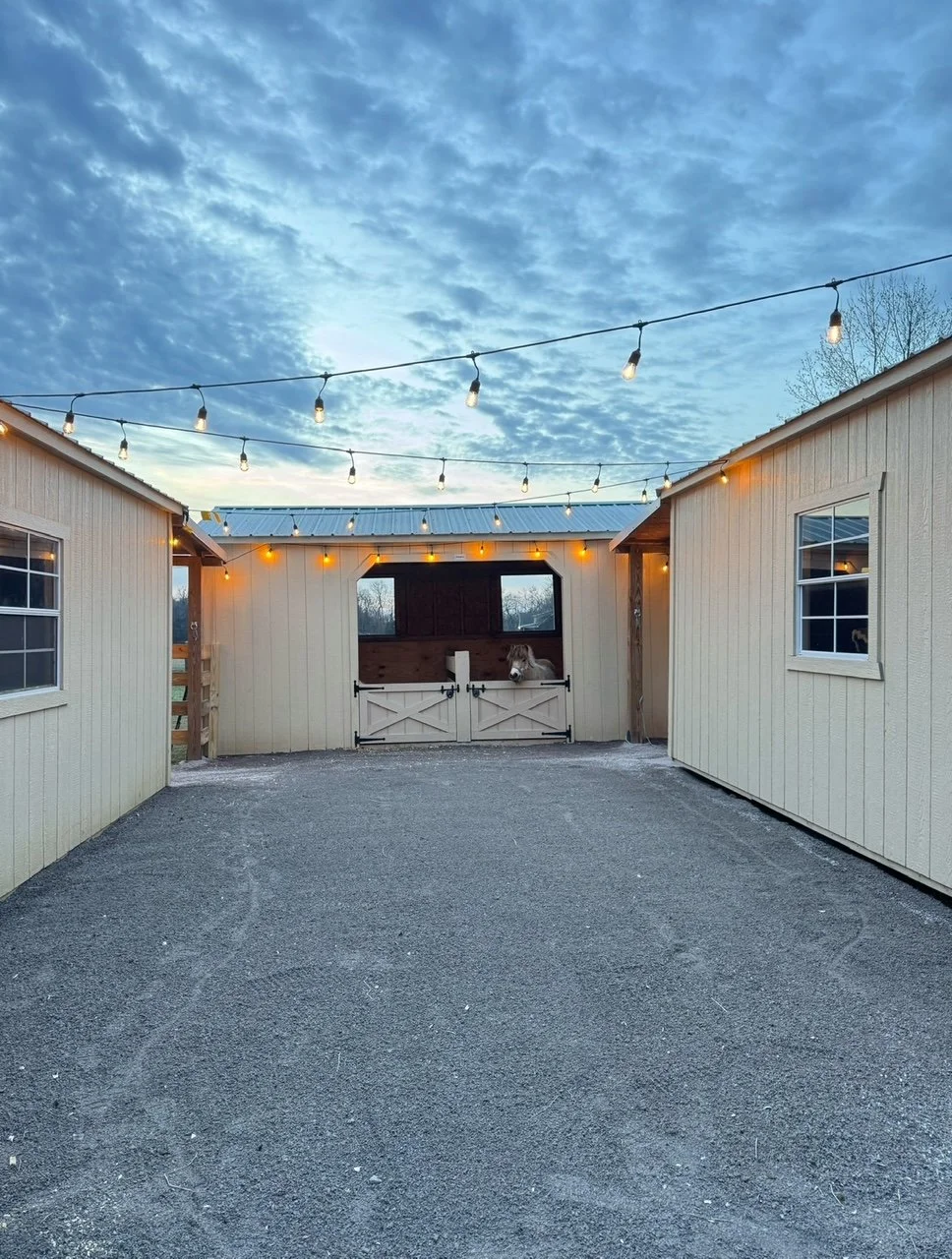 Prepared horse turnout area beside a run-in shed