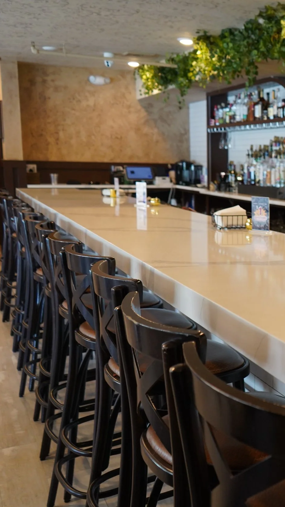 Empty bar counter with black bar stools, shelves stocked with liquor bottles, and some plants hanging from the ceiling.