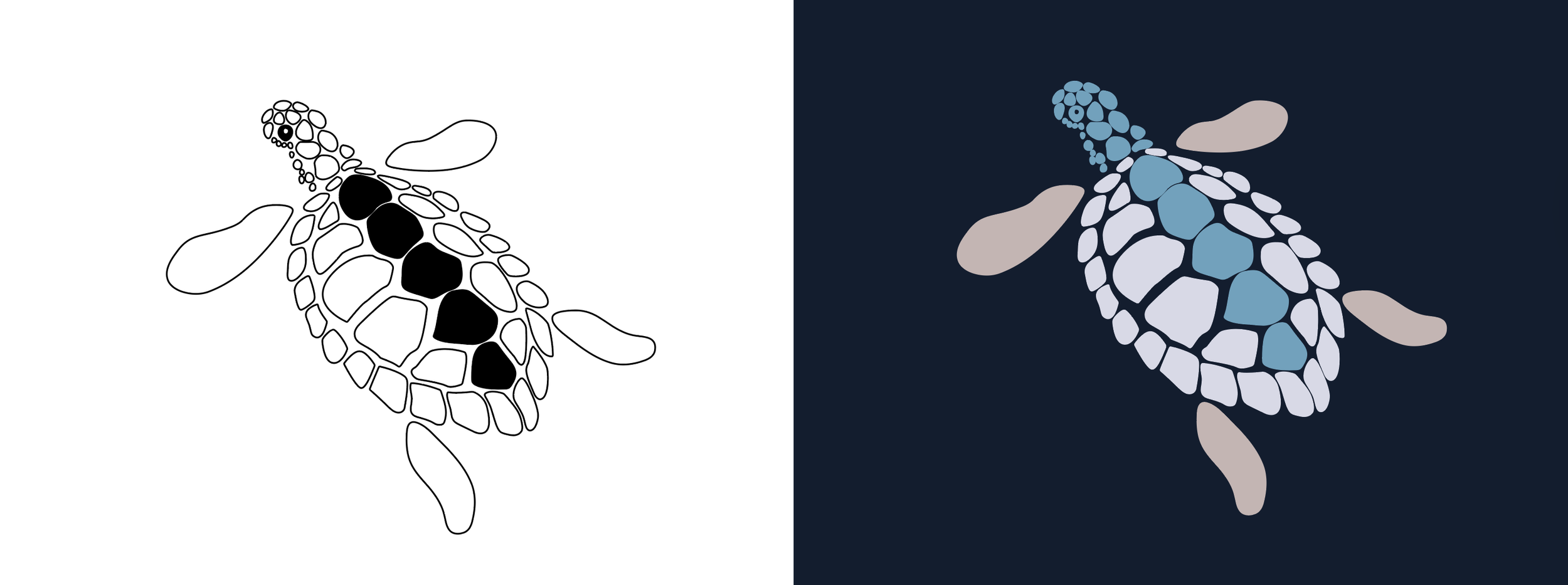 Graphic Translations in B&W & Color