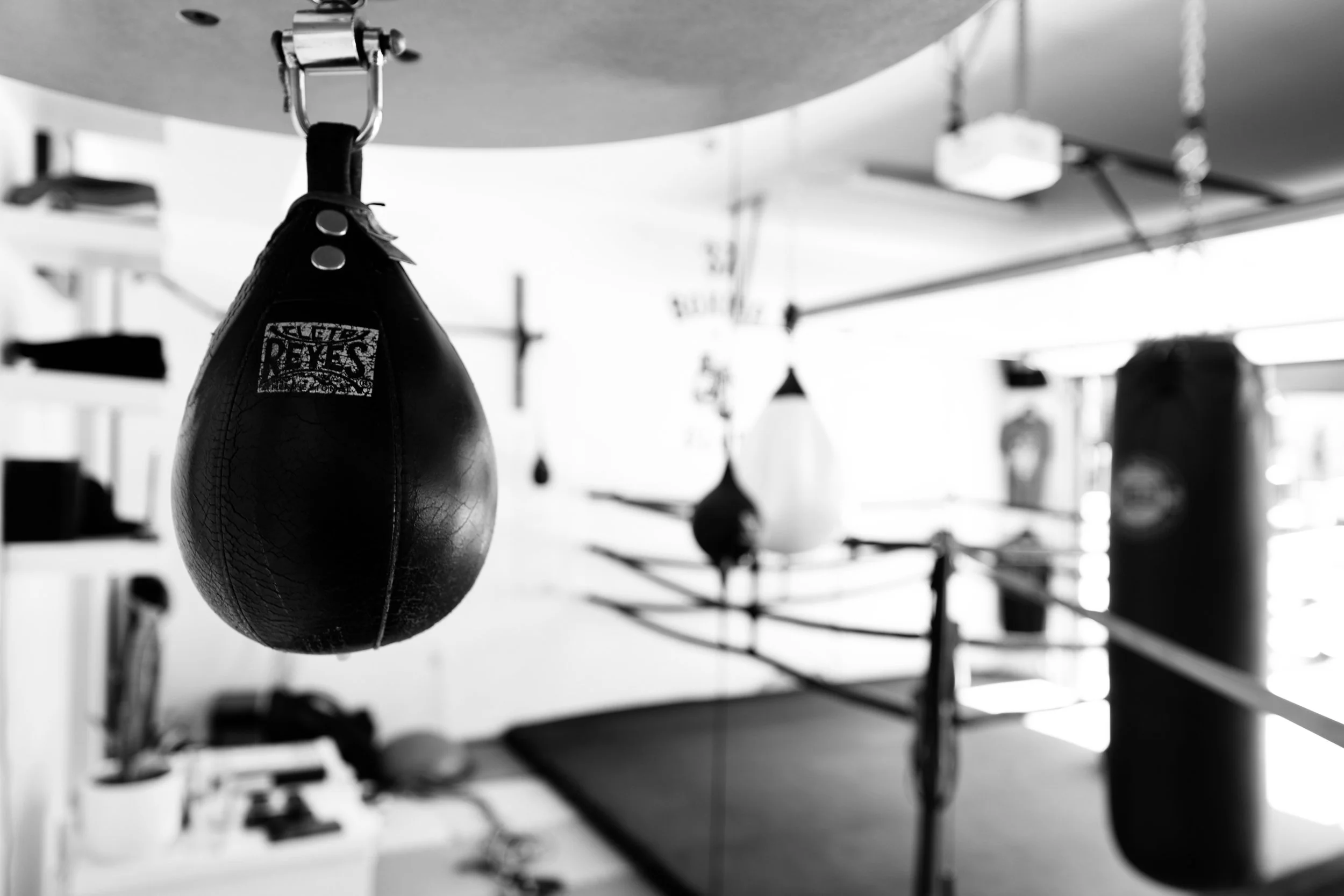 Speed bag at 37 Boxing in Tsawwassen, BC