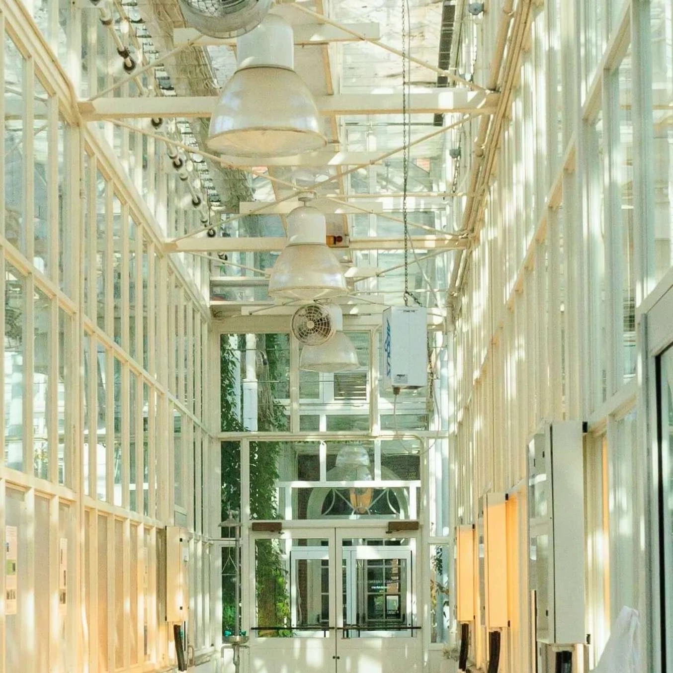 The interior of a building under construction with exposed wooden framing and a glass wall, LED ceiling lights, and a ceiling fan.