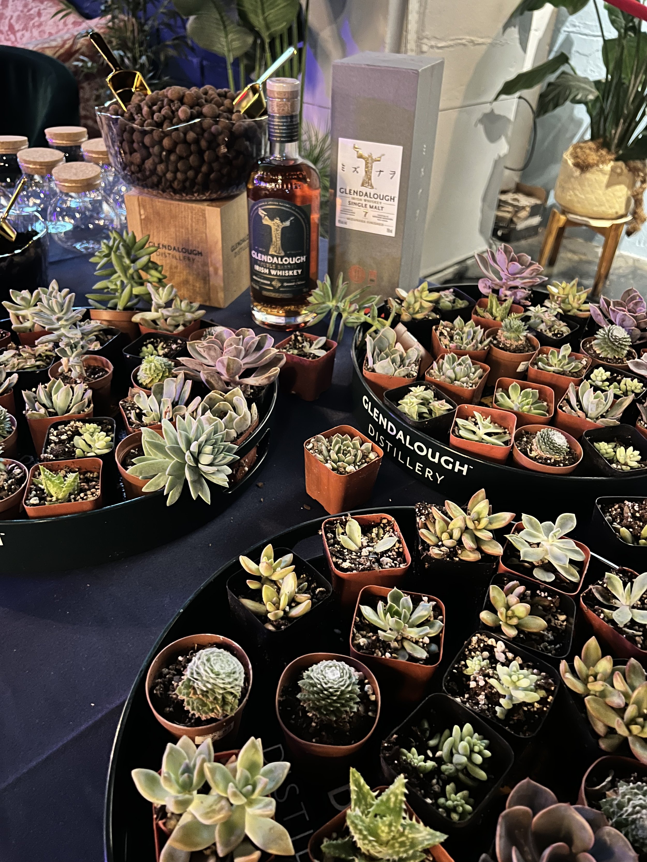 On Site terrarium building event for corporate team building experience or brand activation.