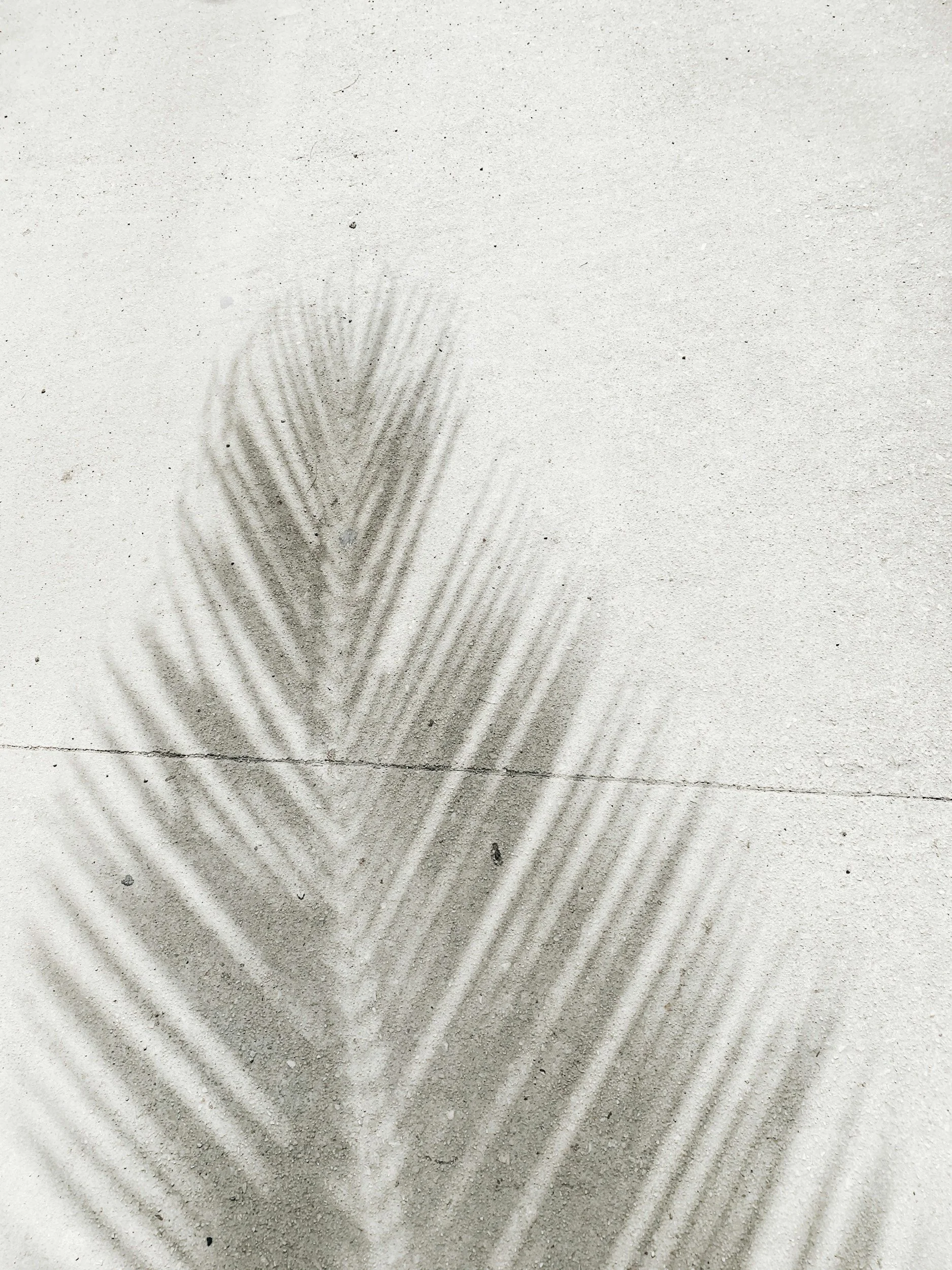 Sand with a single set of shoe tracks and a faint palm frond shadow.