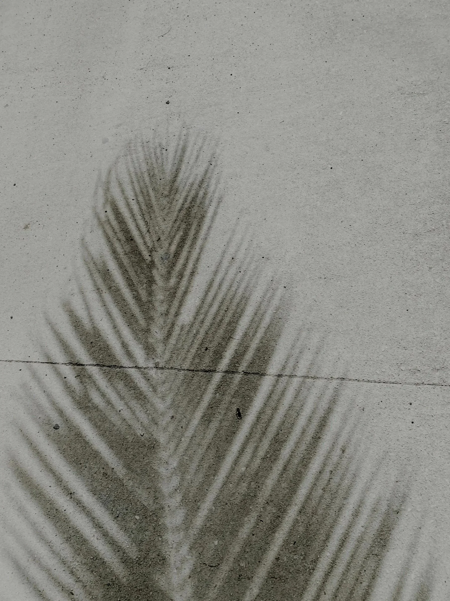 Pattern of tire marks on sandy beach creating a symmetrical design.