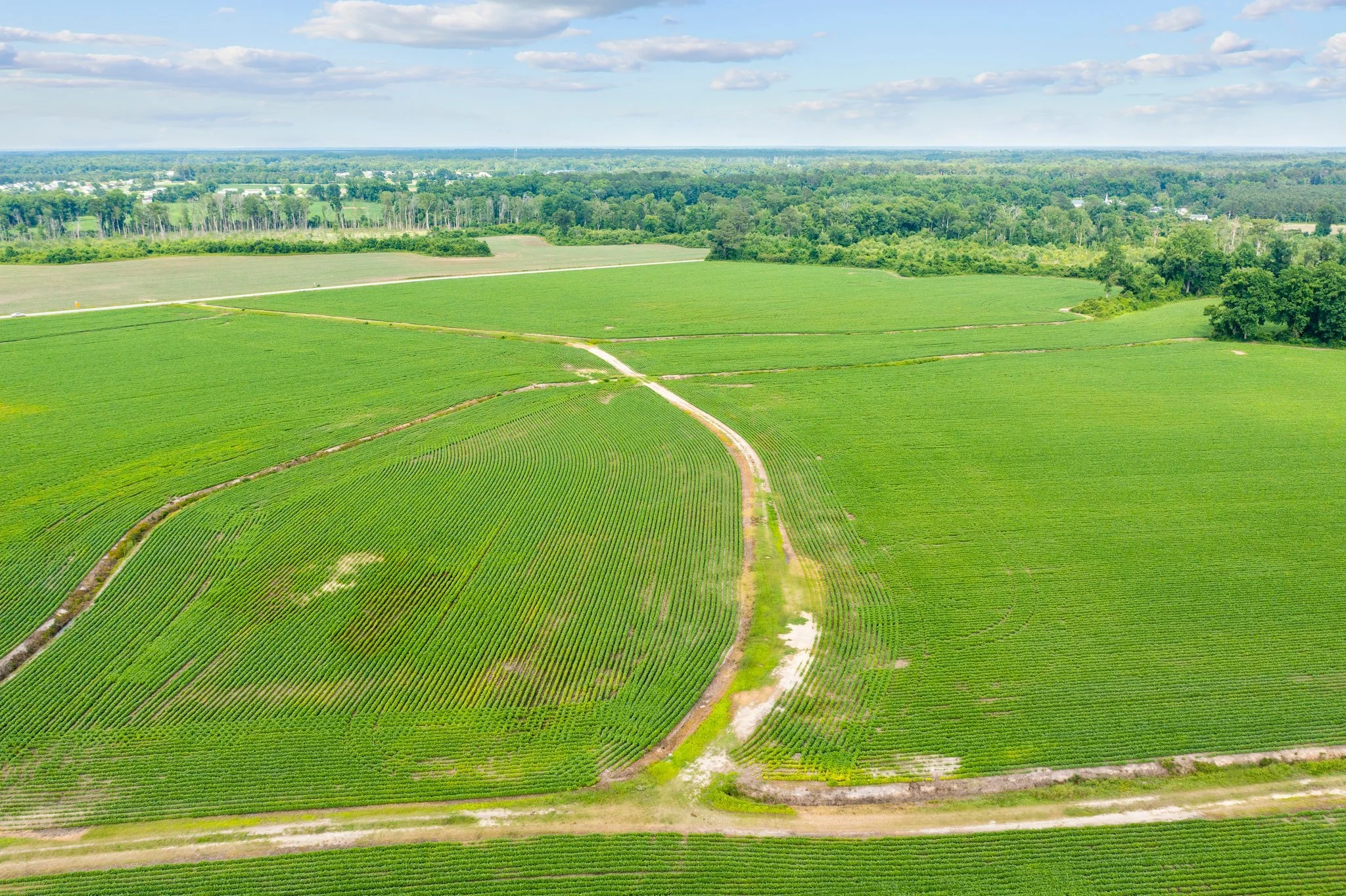 90 +/- Acres For Sale in Richlands NC