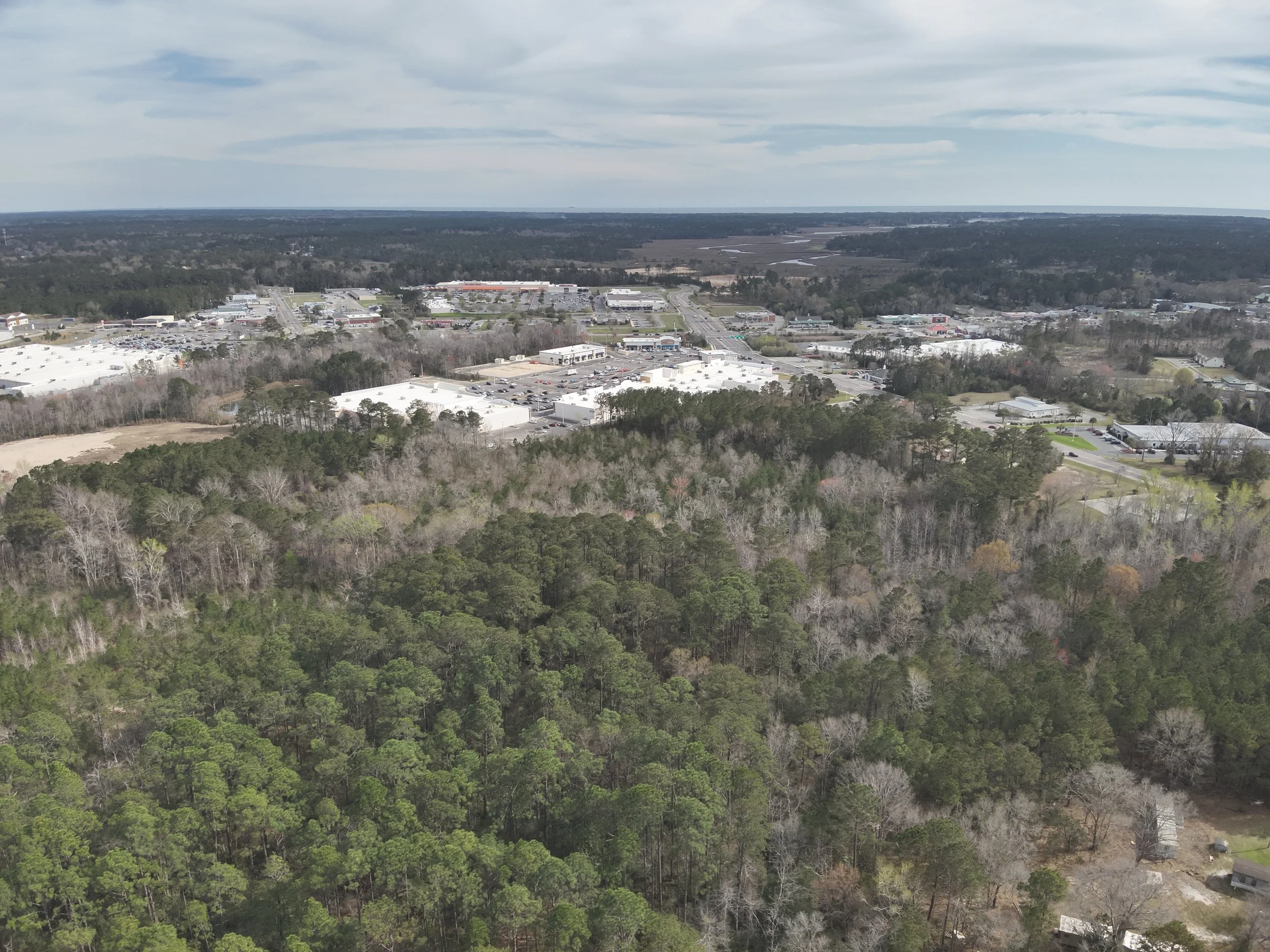 32 +/- Acres For Sale in Shallote NC 