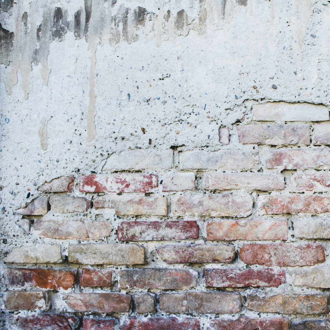 Mold Assessments