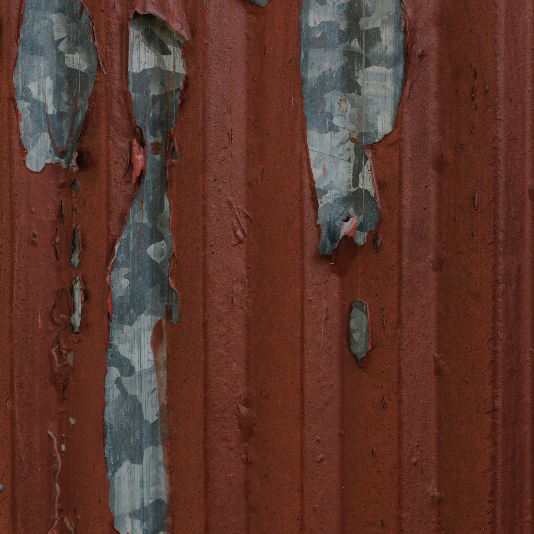 Lead Inspections
