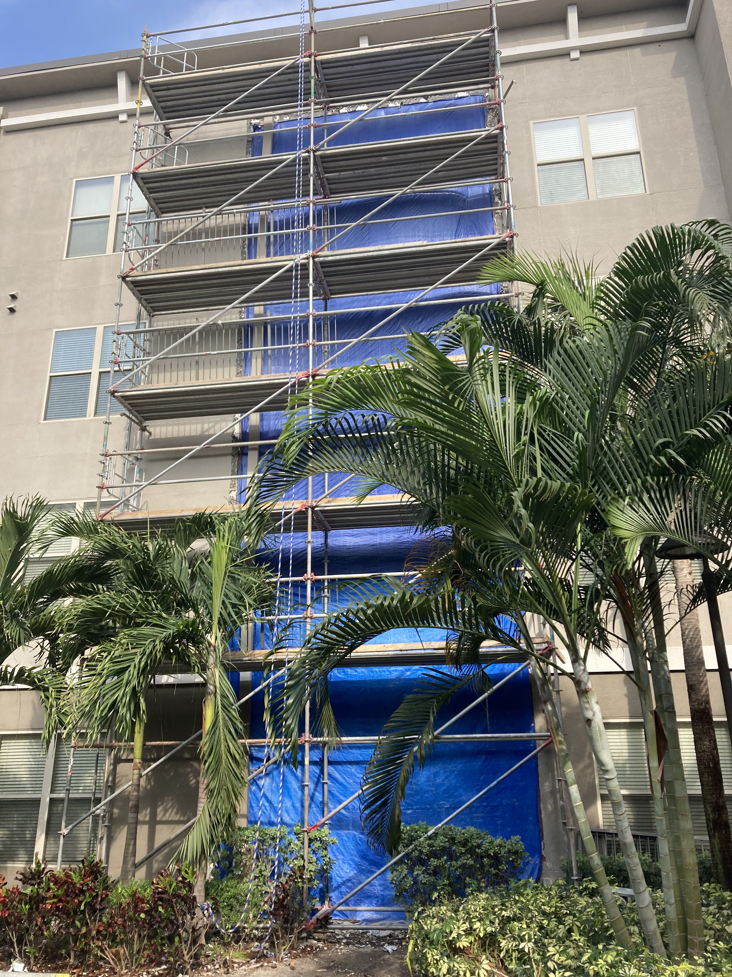 Construction scaffolding on the exterior of a multi-story building, with some blue netting covering part of the scaffolding, surrounded by green palm trees and bushes in the foreground.