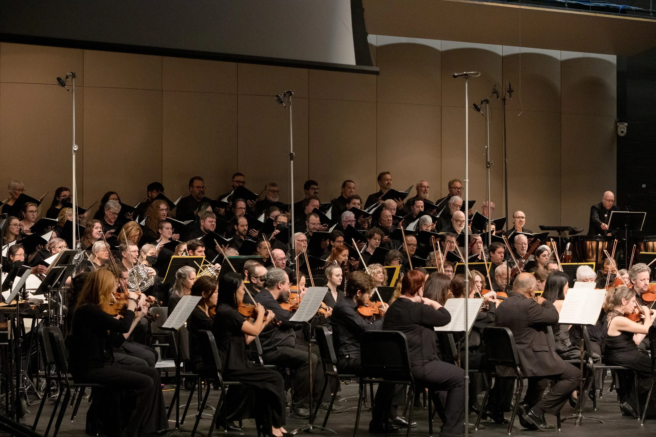 Orchestra performing on stage with musicians playing string instruments, viewed from the audience.