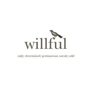 The word "willful" with a bird perched on a letter, and its dictionary definition as "determined, pertinacious, unruly, wild."