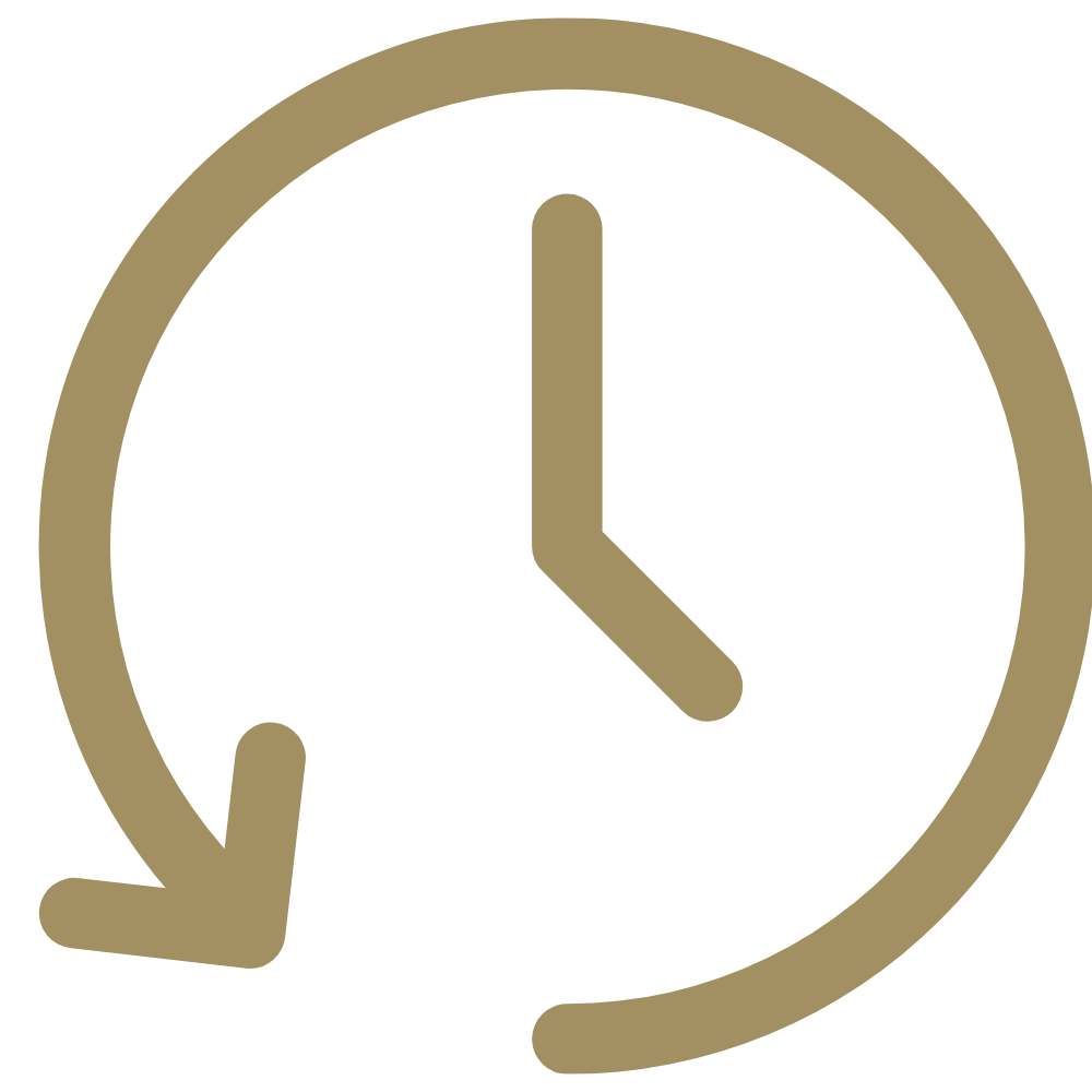 An icon of a clock with an arrow pointing to the left, indicating a history or undo function.