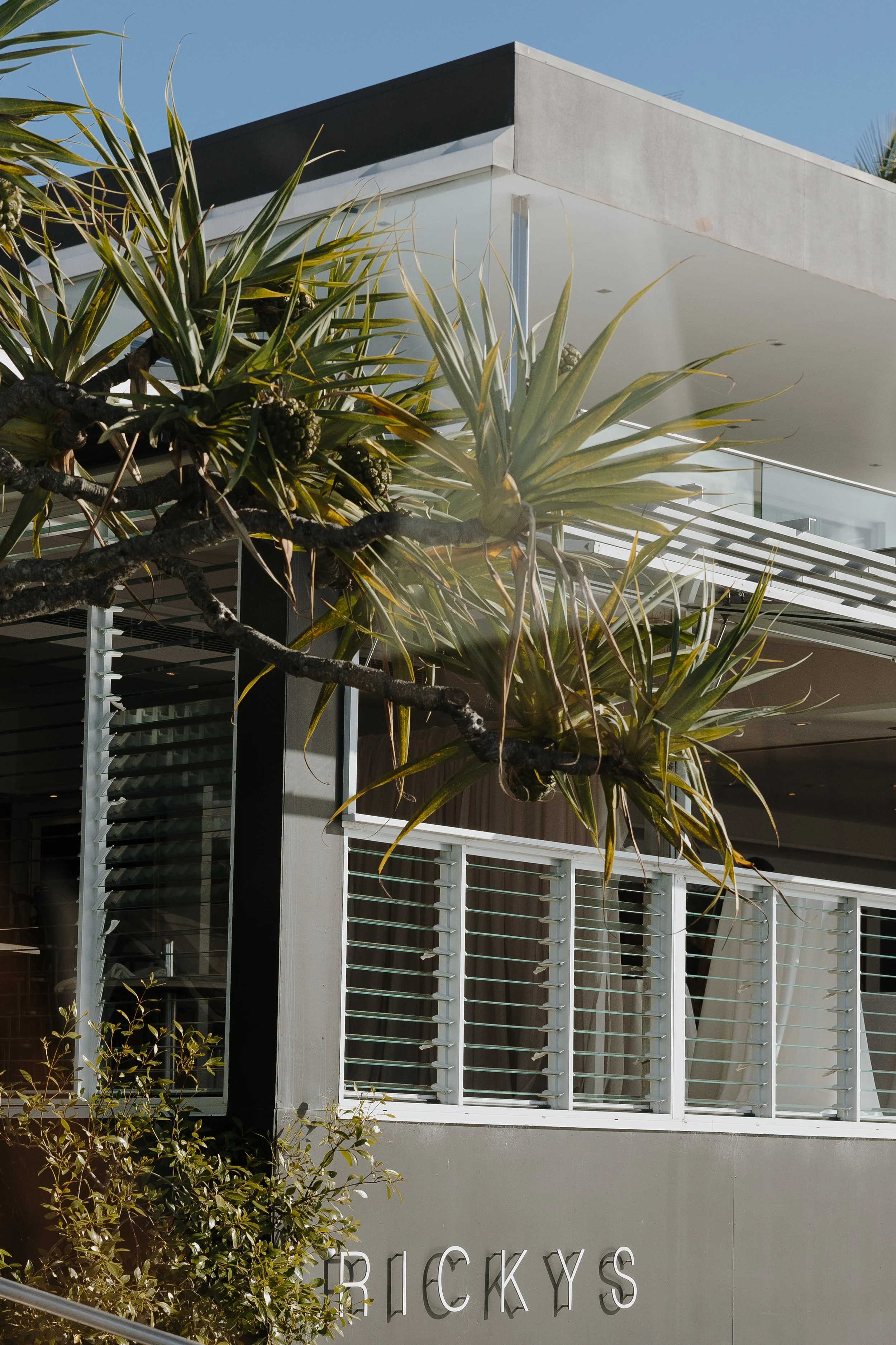 Marriage Celebrant Noosa