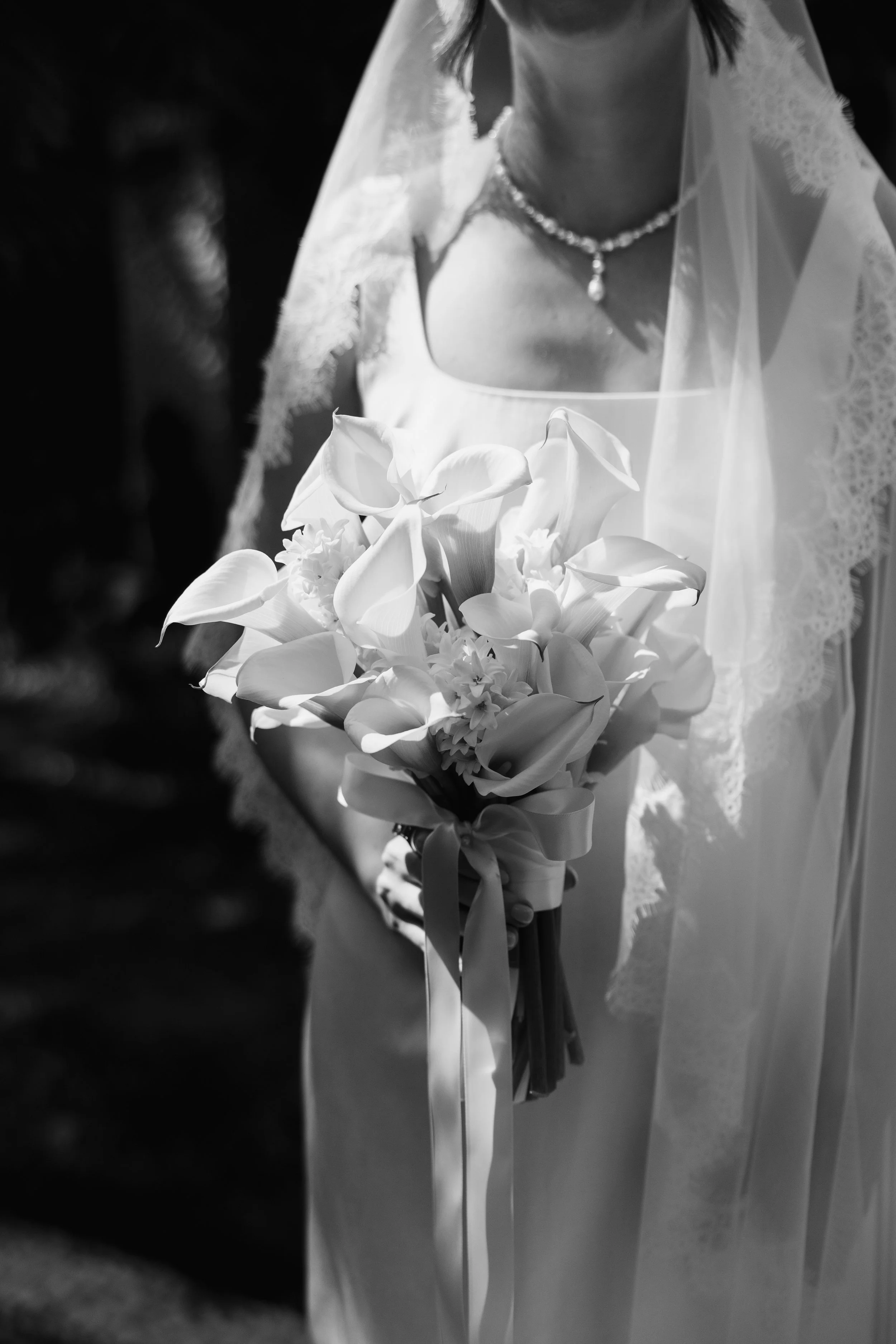 Sunshine Coast Marriage Celebrant