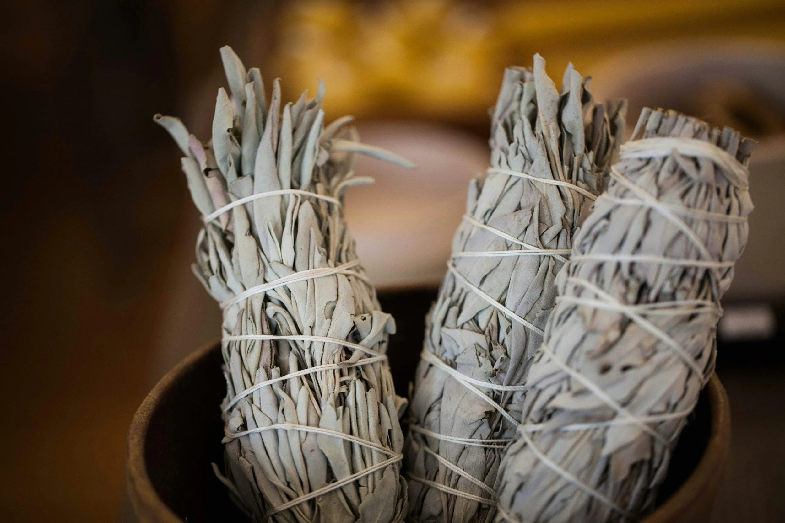 Bundles of dried sage wrapped with string in a bowl.