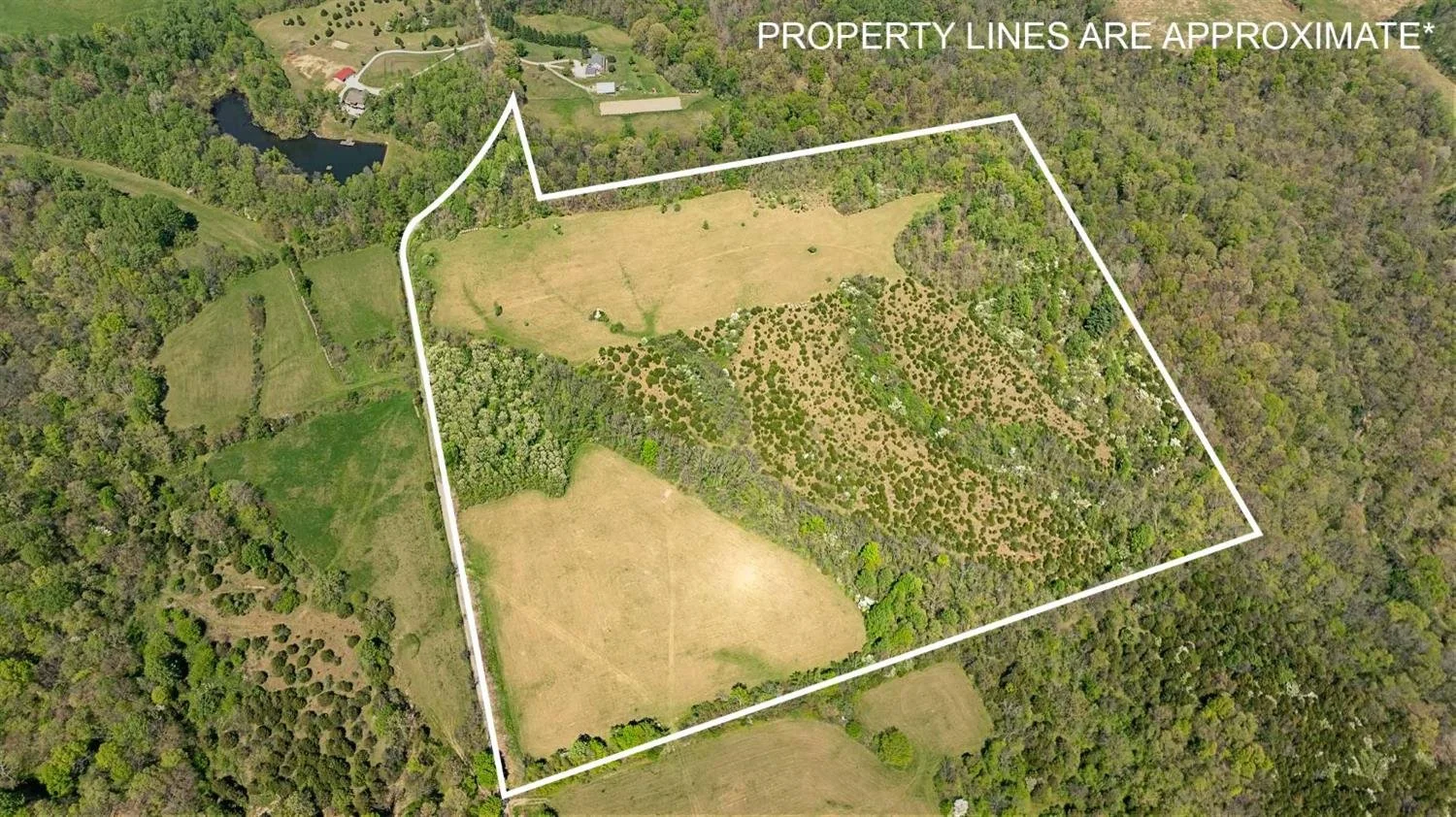 Basic Lot Listing