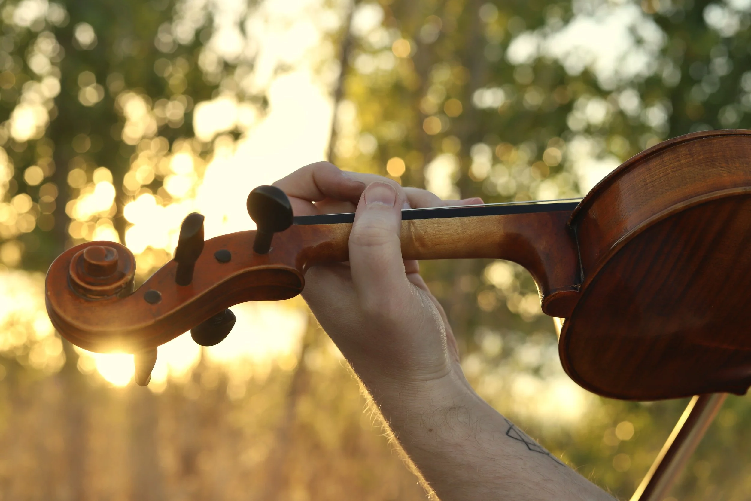 Close-up of a person playing a wooden viola outdoors during sunset, with trees and sunlight in the background.