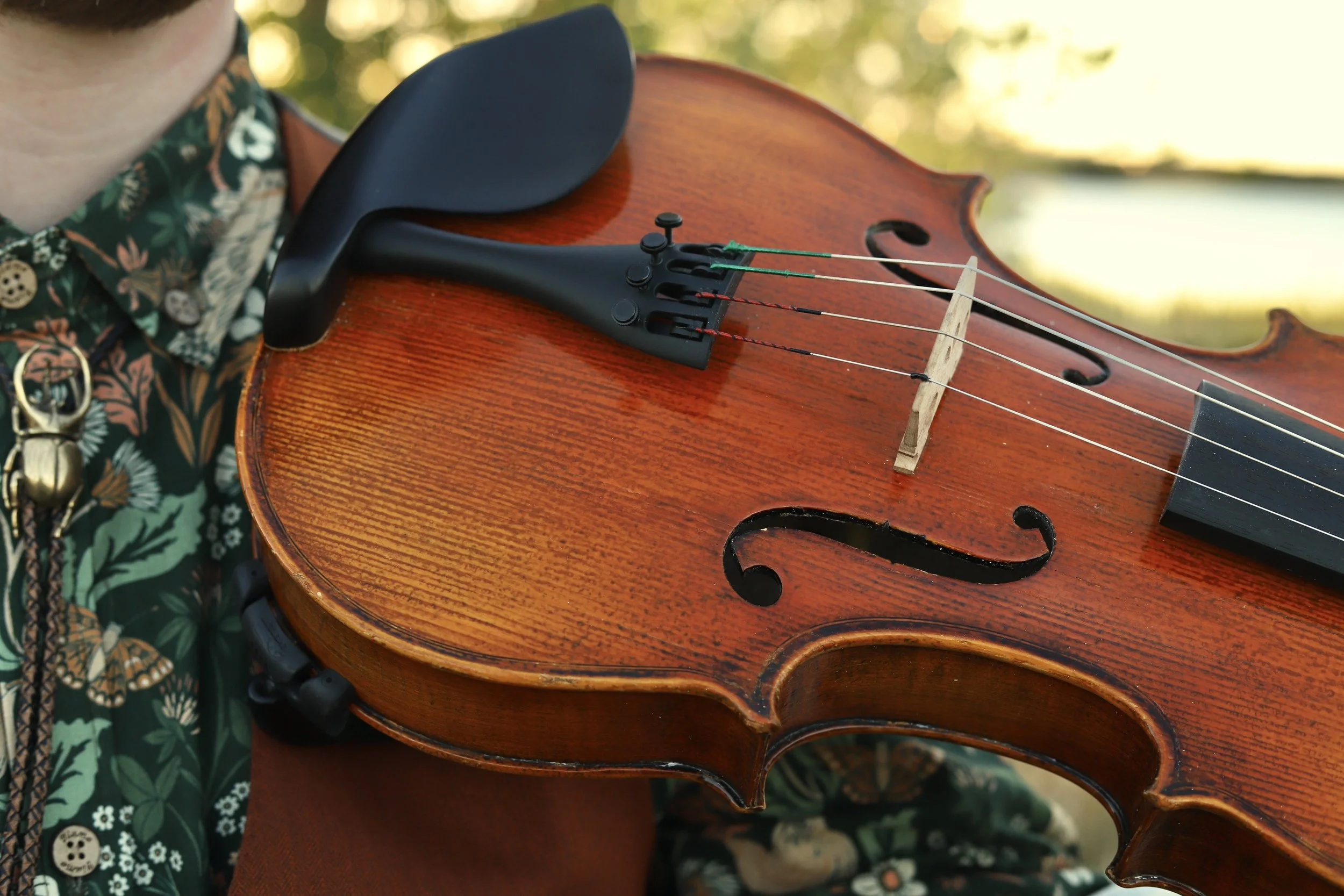Close-up of a person playing a viola, showing part of the shoulder, the chin rest, and the strings, with a blurred outdoor background.