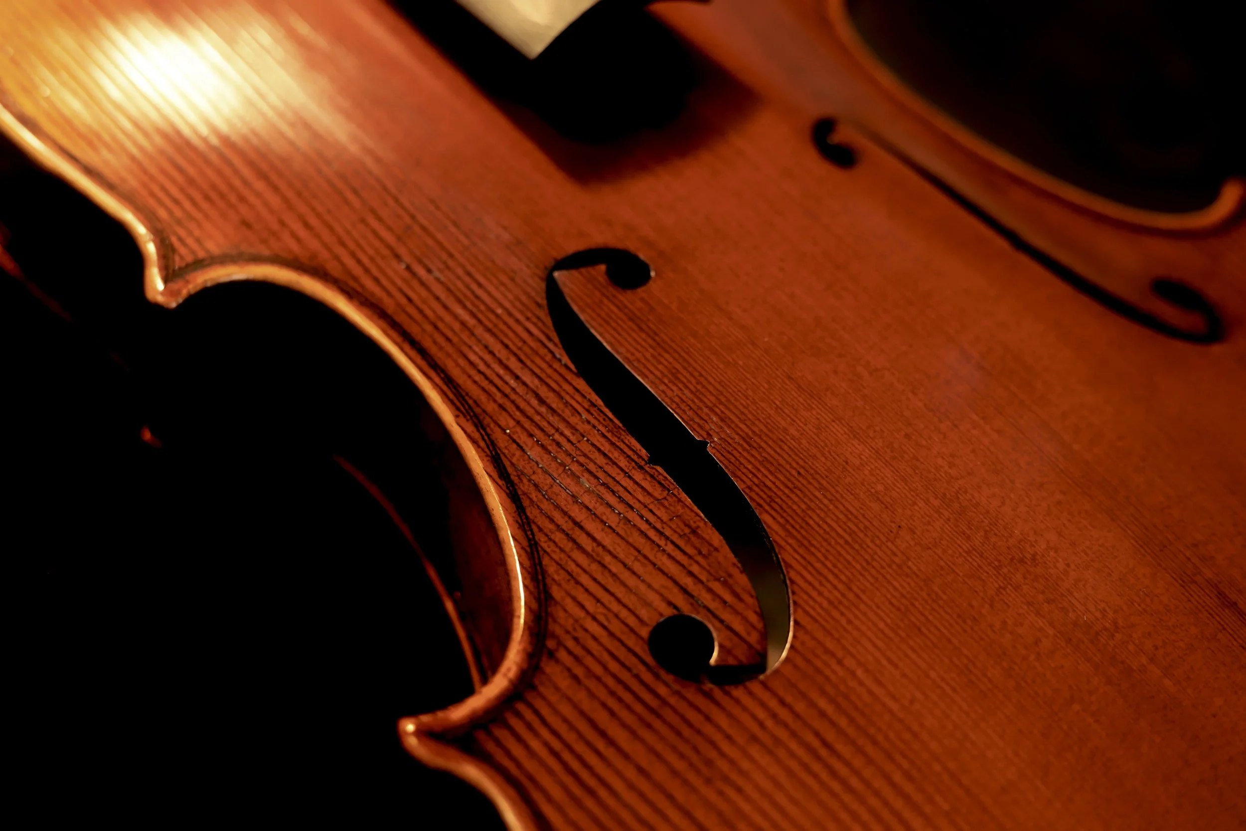 Close-up of a violin body showing its wooden surface. The violin has a warm, reddish-brown finish with visible wood grain, and does not have a bridge or strings.
