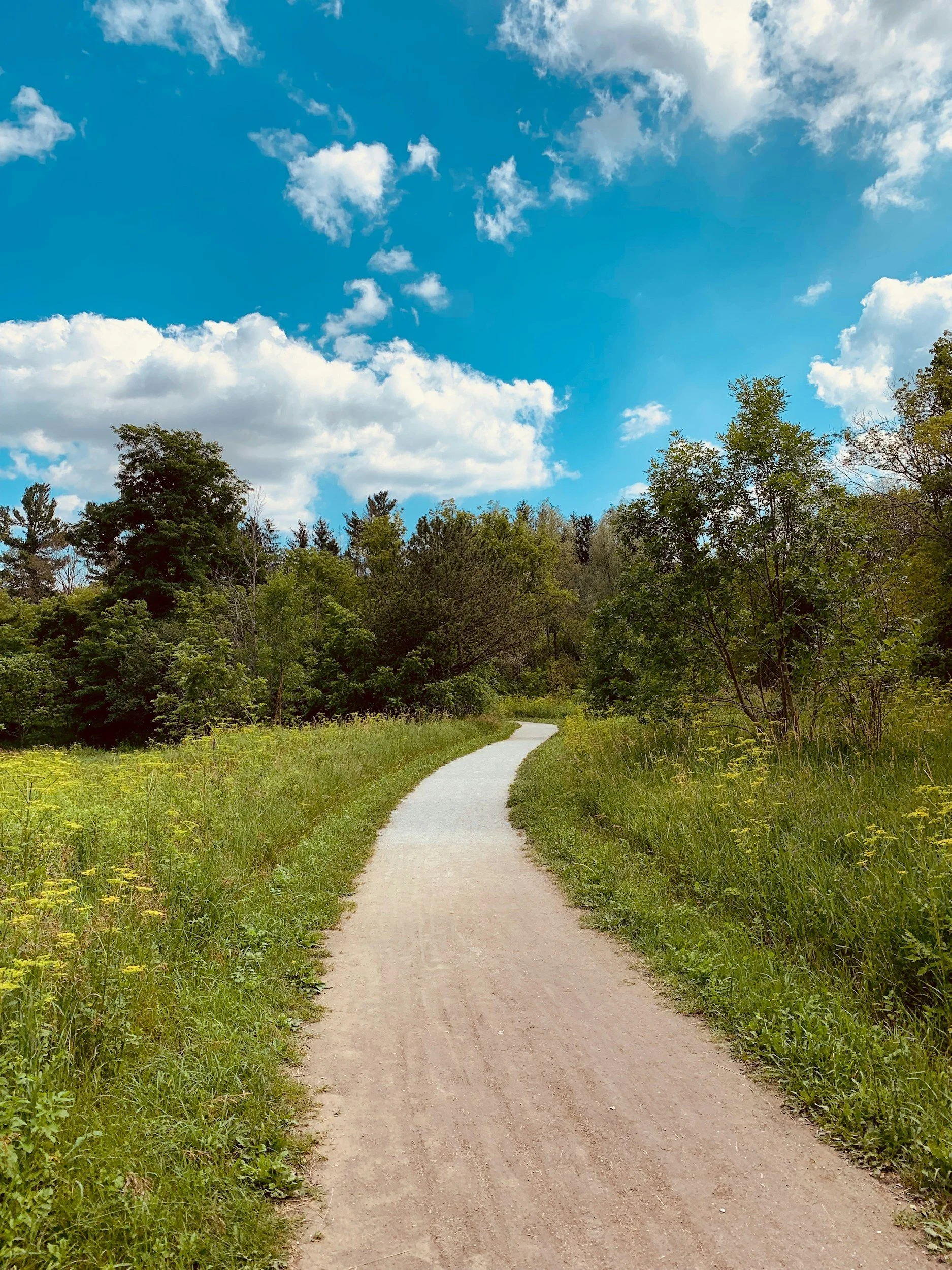 Nature as a Gentle Path Back to Contentment