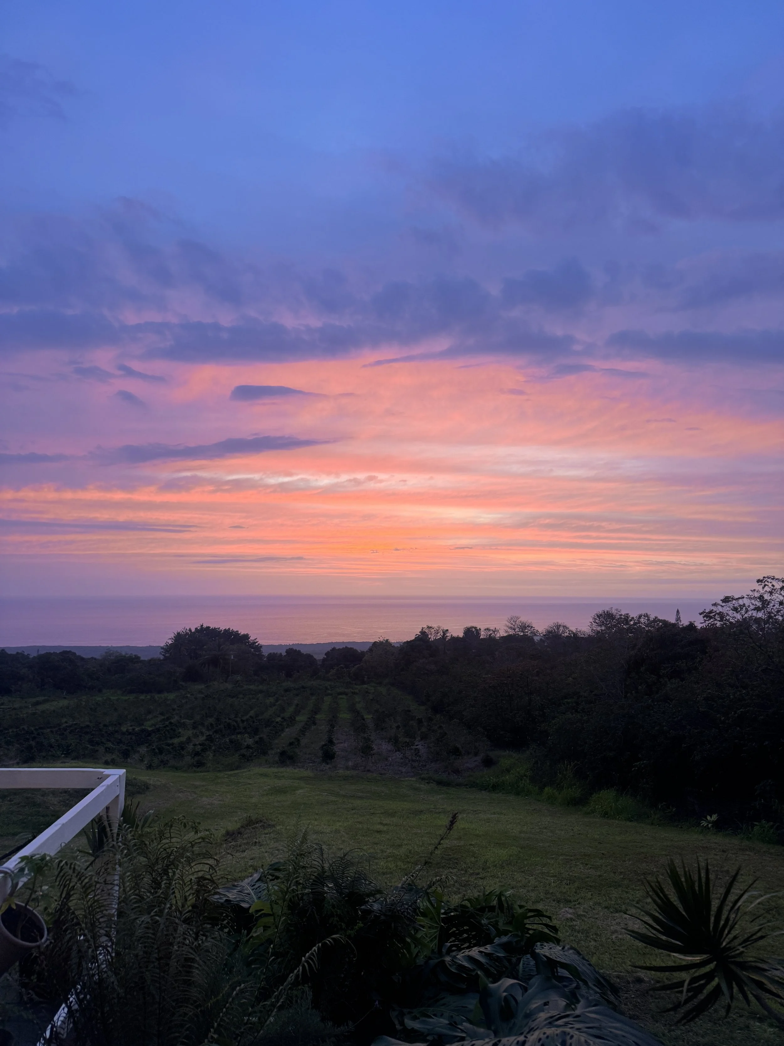 A scenic sunset over a lush green landscape with trees and plants, and a colorful sky with shades of blue, pink, and orange.
In person scalp education training.