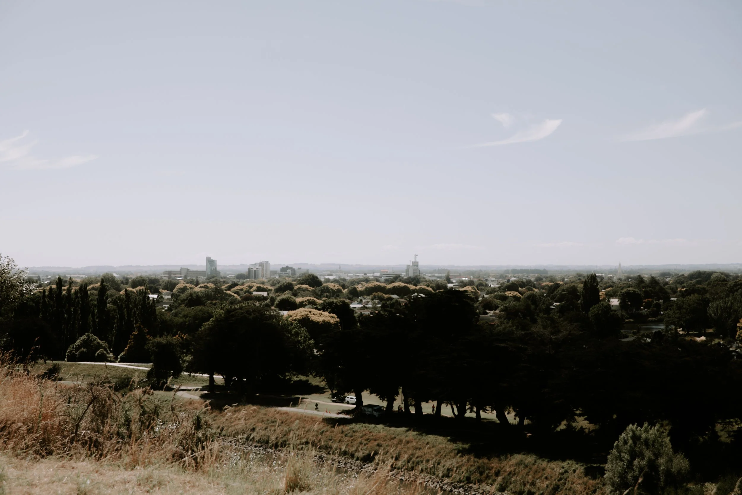 City skyline viewed from a park or hill with trees, open space, and a clear sky.