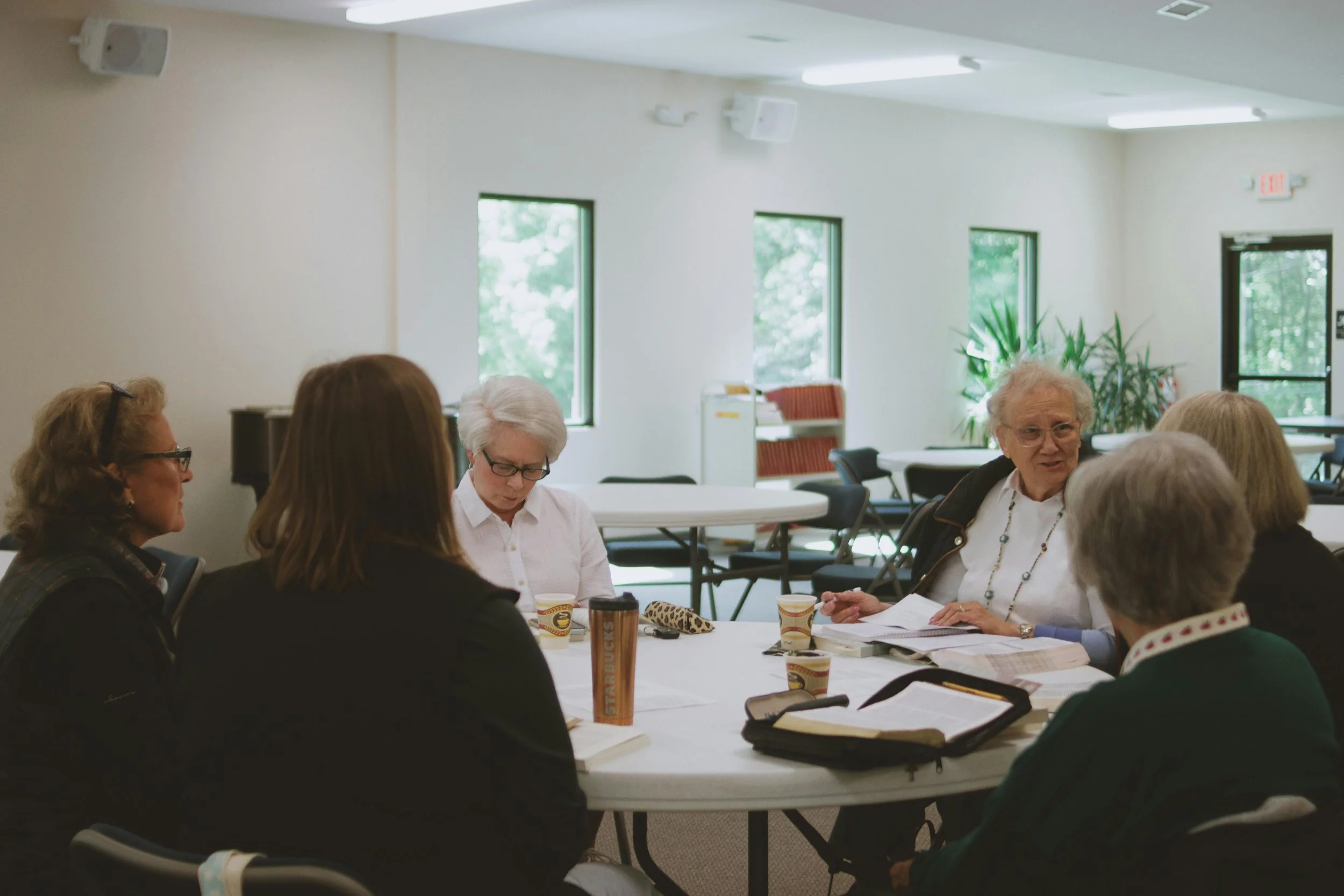 A group of elderly women sitting around a table engaged in a discussion in a well-lit room with large windows, plants, and minimal decor.