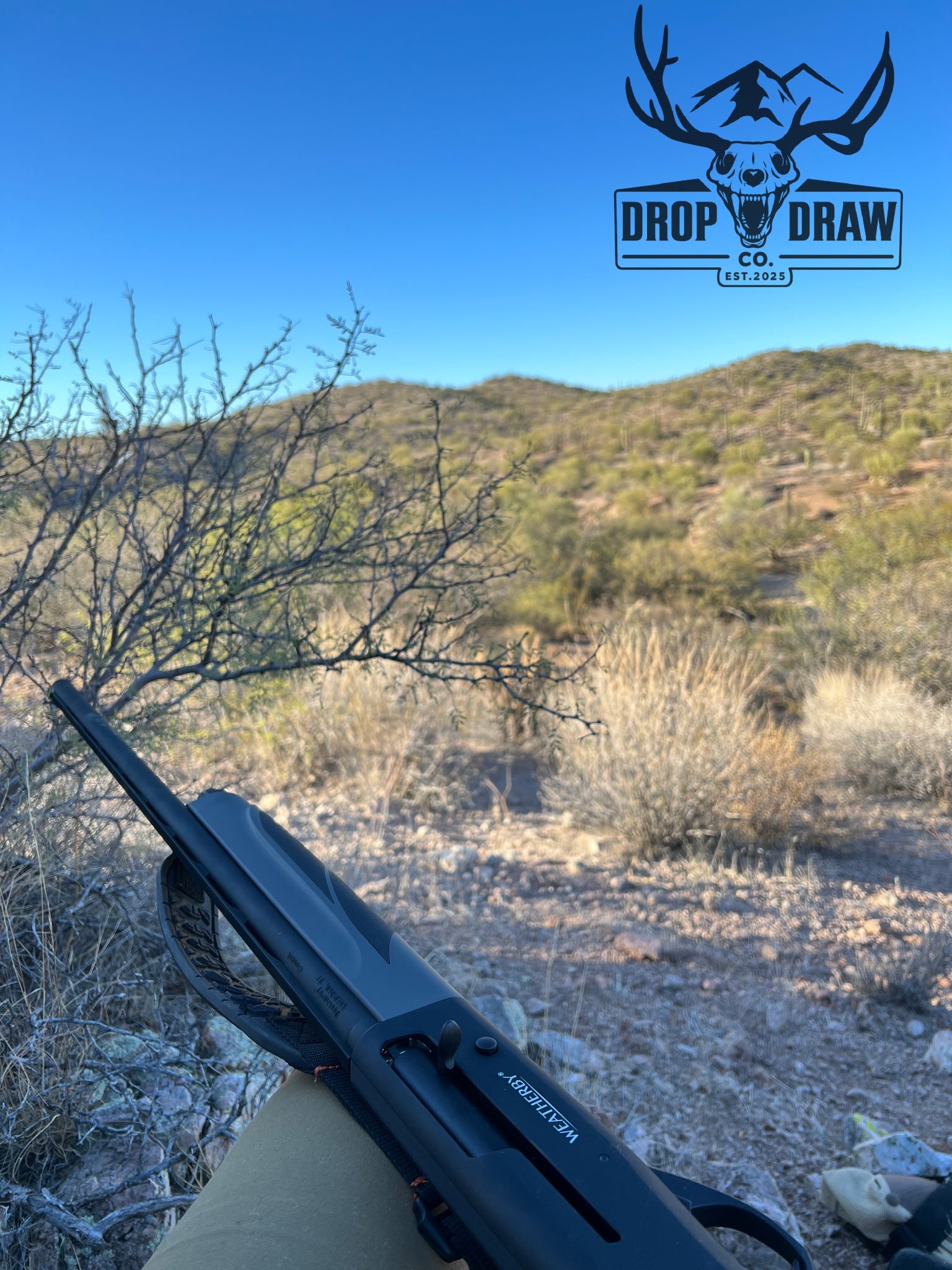 View of a desert landscape with dry bushes and hills under a clear blue sky. In the foreground, part of a rifle is visible, suggesting a hunting or shooting activity.