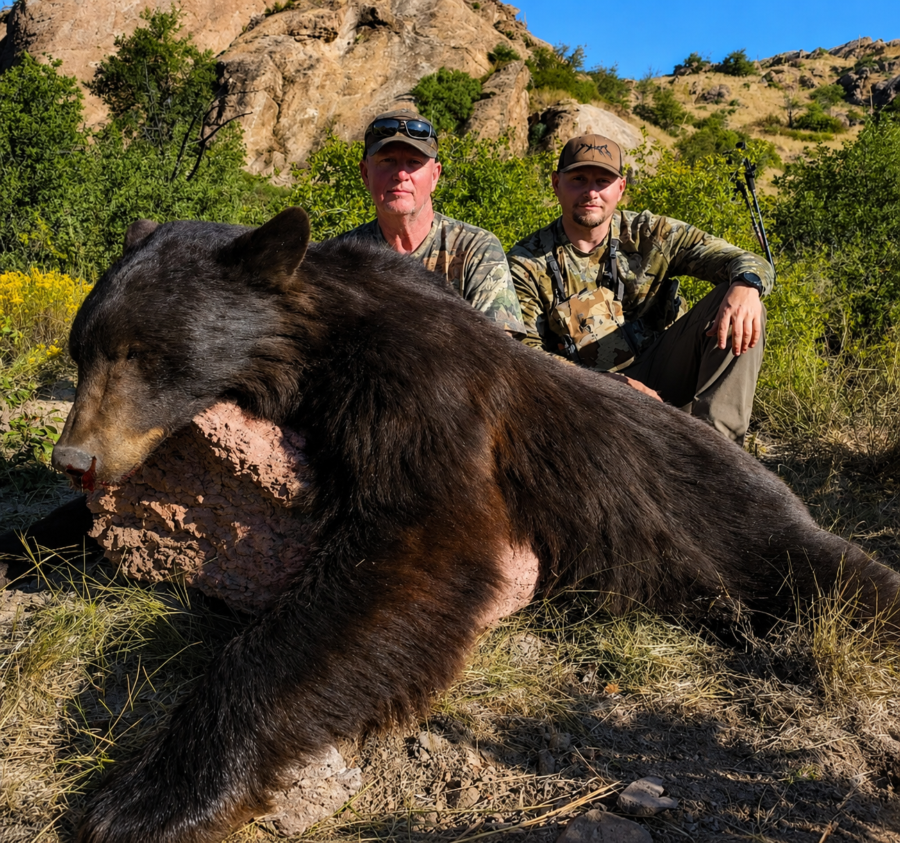 Two men in camouflage clothing sitting behind a large, dead black bear in a mountainous area with green bushes and yellow flowers.