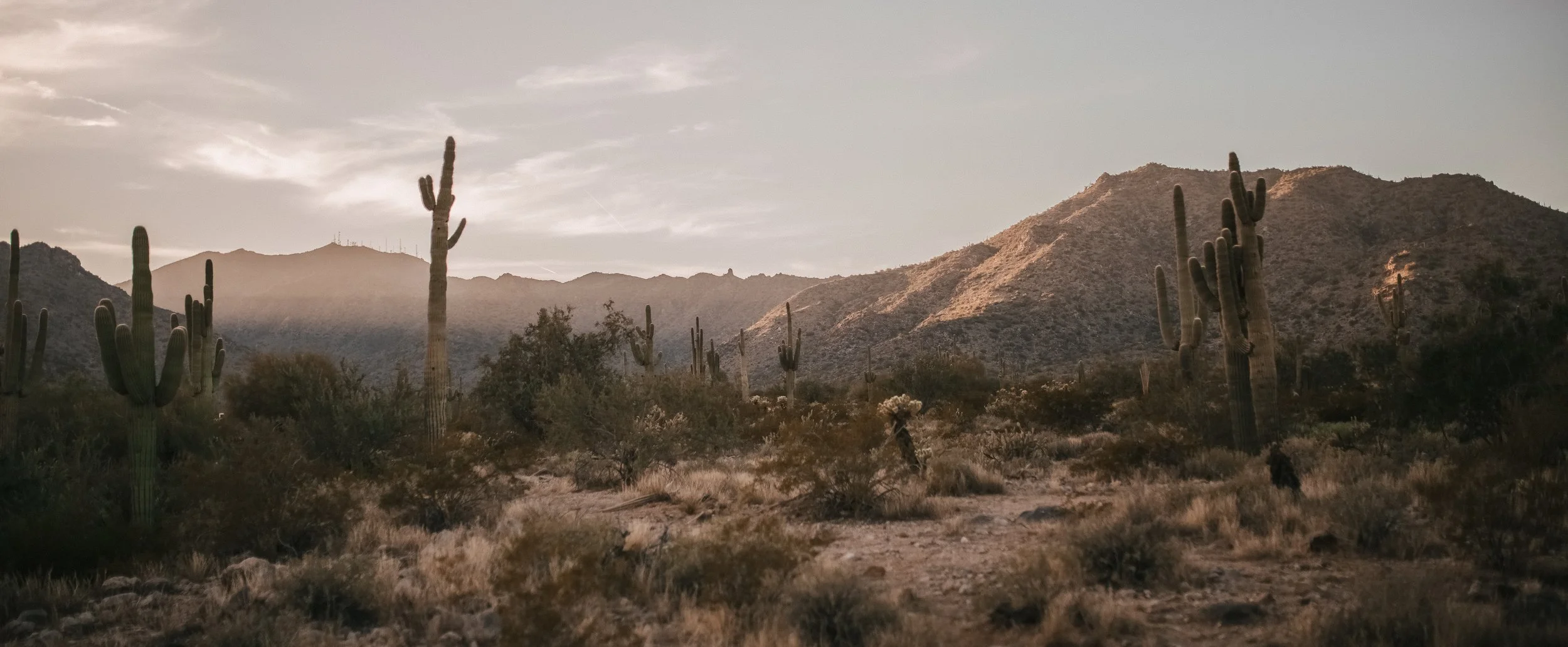 Desert landscape featuring tall saguaro cacti, dry shrubs, distant mountains, and a partly cloudy sky during sunset or sunrise.