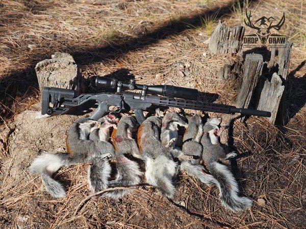 Multiple dead foxes lying on dirt ground next to a scoped rifle and wooden posts with a deer head logo.