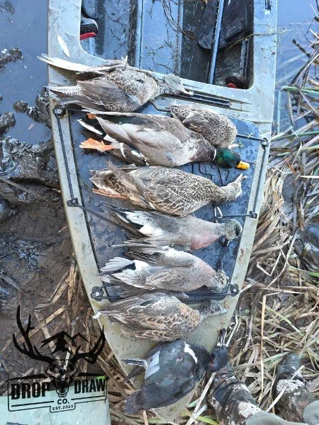 Several ducks and a goose caught and laid out on a boat, with some dried grass and muddy ground nearby.