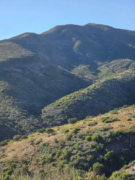 Hiking trail running through green and brown rolling hills and mountains under a clear blue sky.