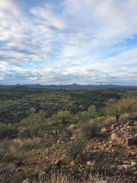 A desert landscape with scattered shrubs and rocks under a sky with clouds and blue patches.