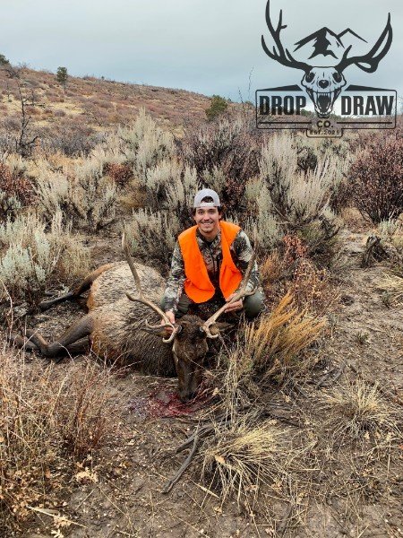 A smiling man wearing a camouflage shirt and orange safety vest kneels next to a large dead elk with antlers in a dry, brushy field. The sky is overcast, and a logo with a deer skull and the words 'Drop Draw Co.' is in the top right corner.