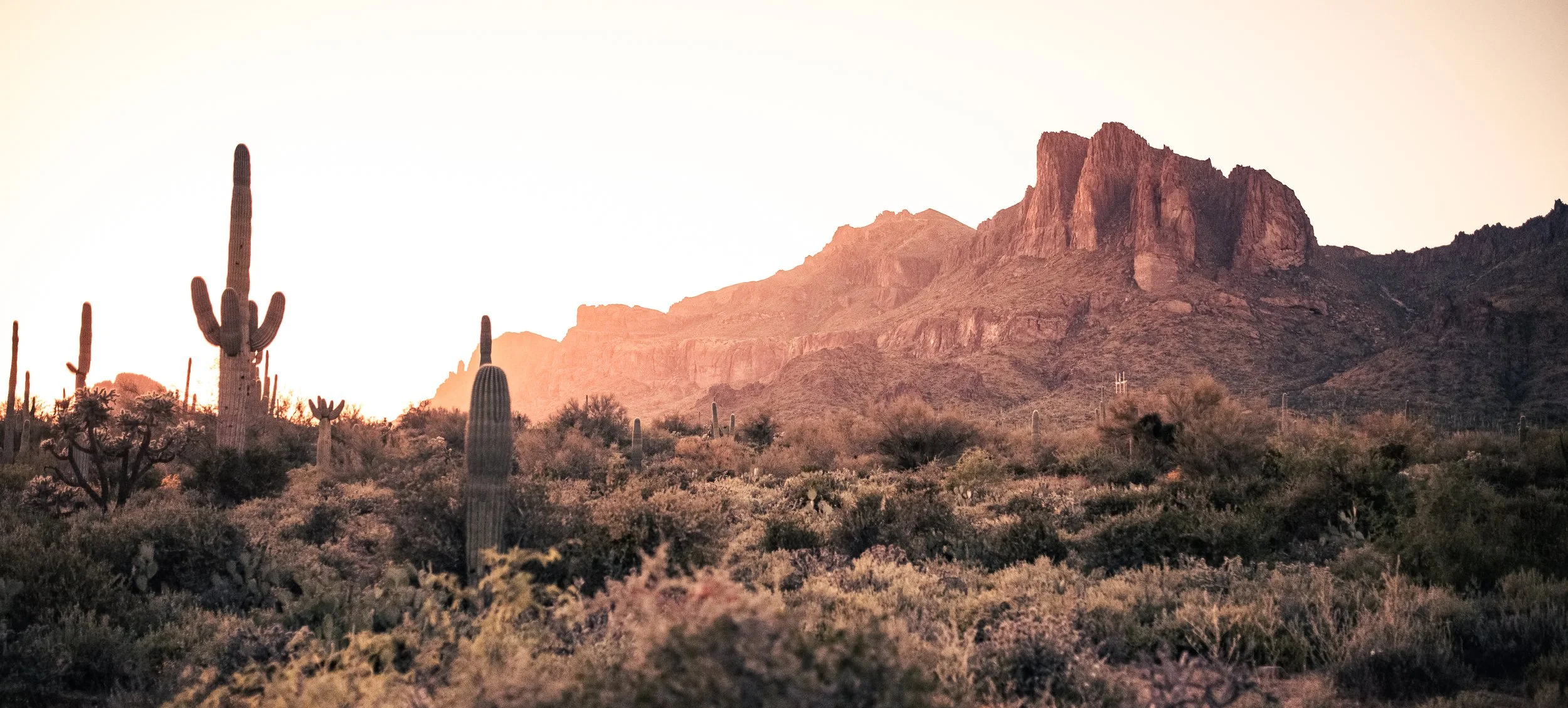 A desert landscape at sunset with tall saguaro cacti and rugged mountains in the background.