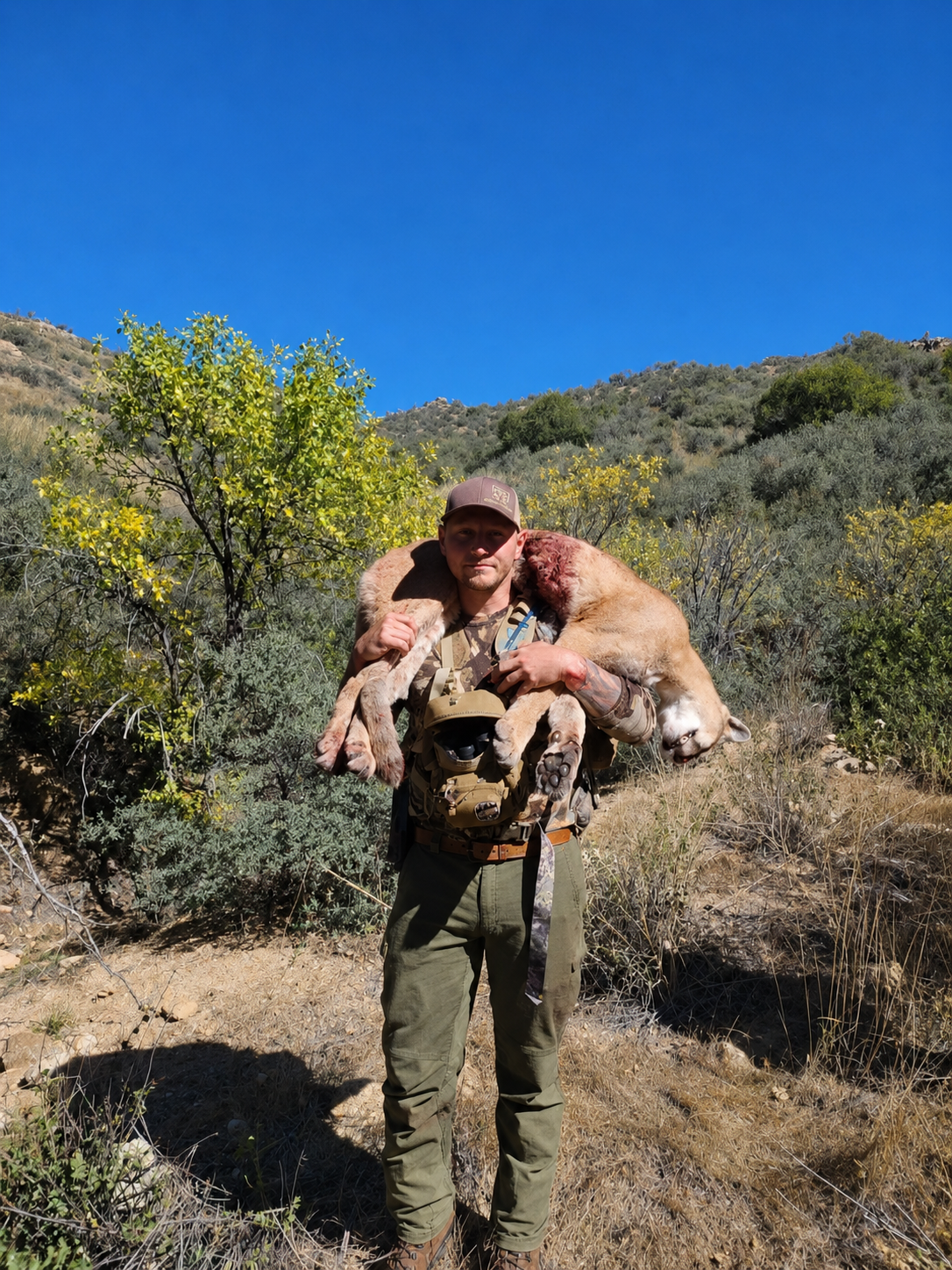 A man holding a dead mountain lion in a dry, mountainous area with bushes and trees, under a bright blue sky.