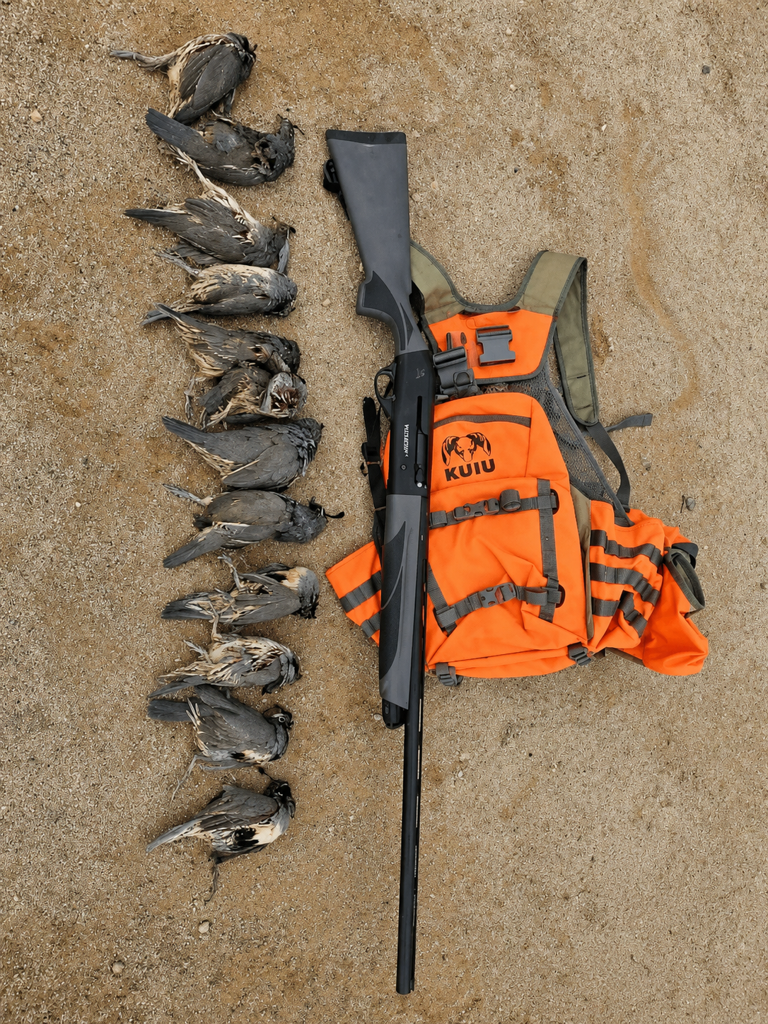 A line of dead birds on the ground next to a hunting rifle and an orange hunting backpack on a dirt surface.