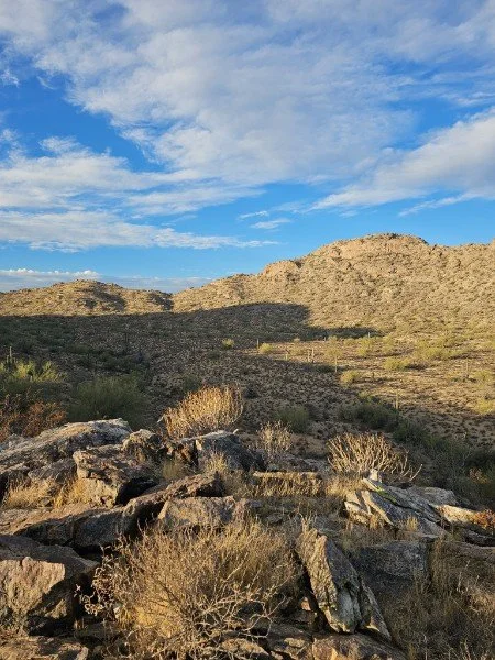 Arid desert landscape with rocky terrain, sparse bushes, and mountains under a partly cloudy sky.