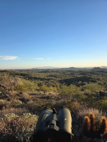 View of a vast, arid landscape with low shrubs and cacti under a clear blue sky, with binoculars in the foreground.