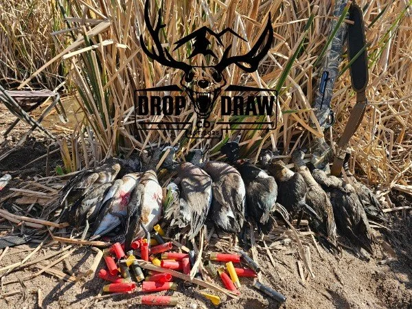 Several ducks that have been hunted and laid on the ground, with shotgun shells scattered nearby, surrounded by dry grass or reeds. There is a hunting decoy with a deer head and antlers logo in the background.