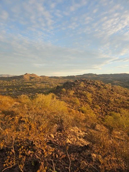 Desert landscape with rolling hills, sparse vegetation, and a partly cloudy sky.