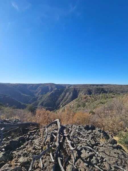 Rocky landscape with a dried, twisted tree branch in the foreground and a canyon under a clear blue sky in the background.