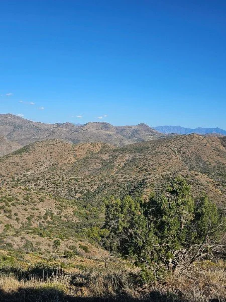 Landscape of rolling hills and mountains under a clear blue sky, with sparse vegetation and a few trees in the foreground.
